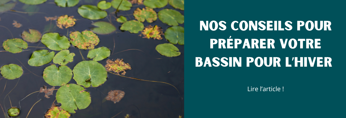 Préparer le bassin pour l'hiver